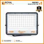 LED FLOOD LIGHT 100 WATT ELECKTOR